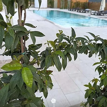 Hotel Tenuta Rosa - Gastronomia E Relax